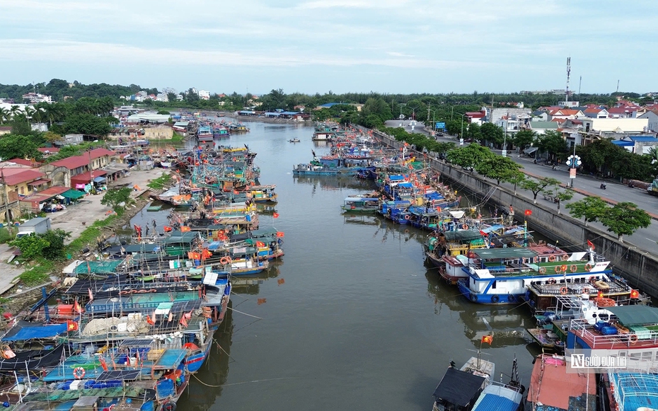 Quận Đồ Sơn (Hải Phòng) chủ động ứng phó siêu bão Yagi