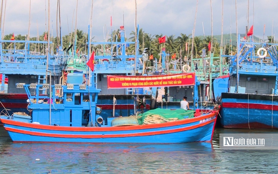 Bình Định:Cưỡng chế tài sản, xử phạt nghiêm các chủ tàu cá vi phạm IUU