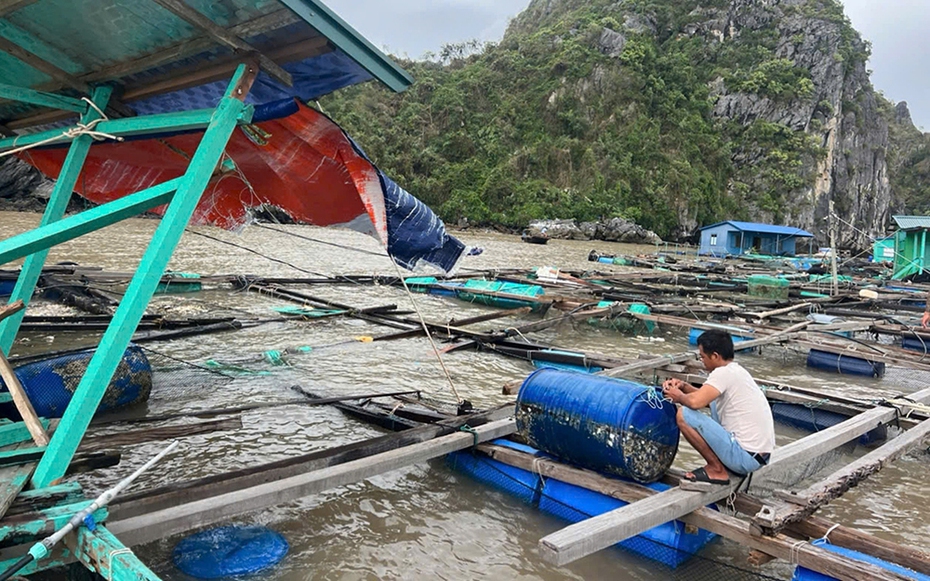 Đảo Cát Bà (Hải Phòng) vẫn bị cô lập sau bão số 3