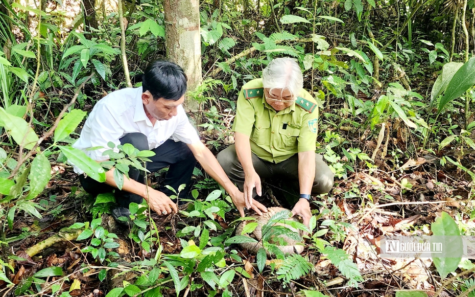 Bình Phước sẽ làm gì để nói không với sử dụng động vật hoang dã?