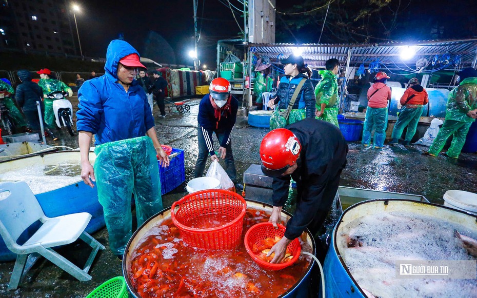 Chợ cá lớn nhất Hà Nội rực đỏ trước ngày ông Công, ông Táo