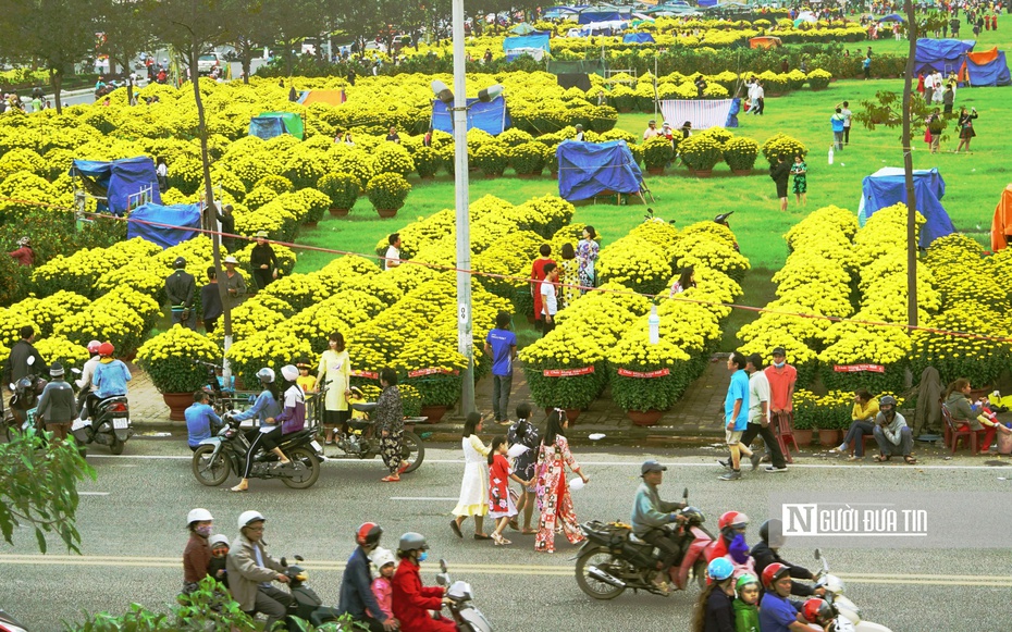 Ngập tràn cảnh sắc trên lối về những miền hoa Bình Định ngày Xuân