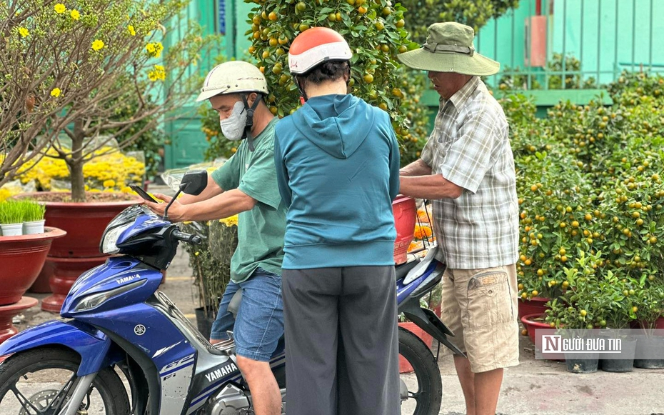 Tp.HCM: Xả hoa, cây cảnh để kịp về quê đón Tết