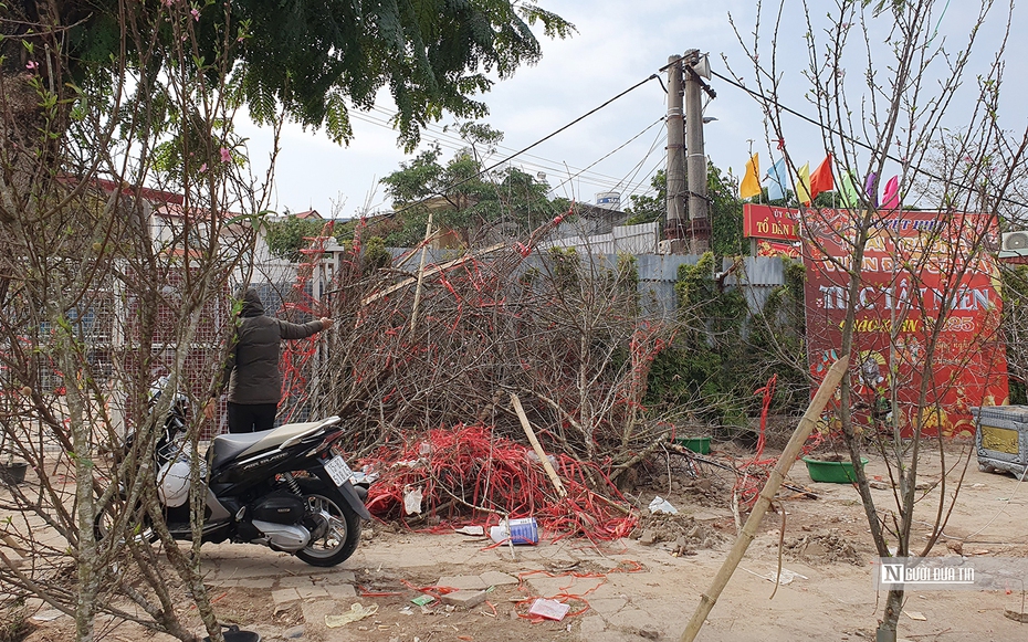 Thị trường hoa Tết ở Hải Phòng: Ế ẩm do cung vượt quá cầu