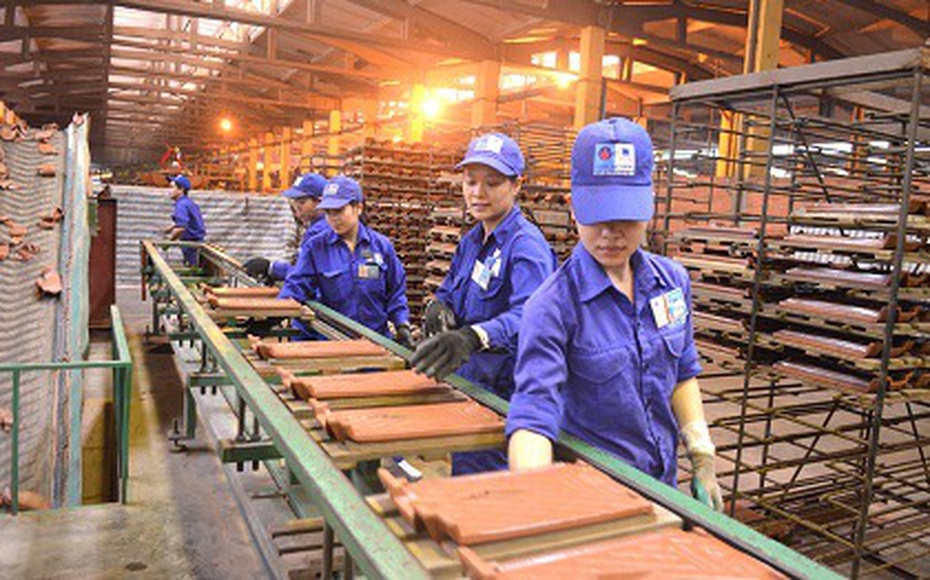 Viglacera Đông Triều đã âm vốn chủ sở hữu