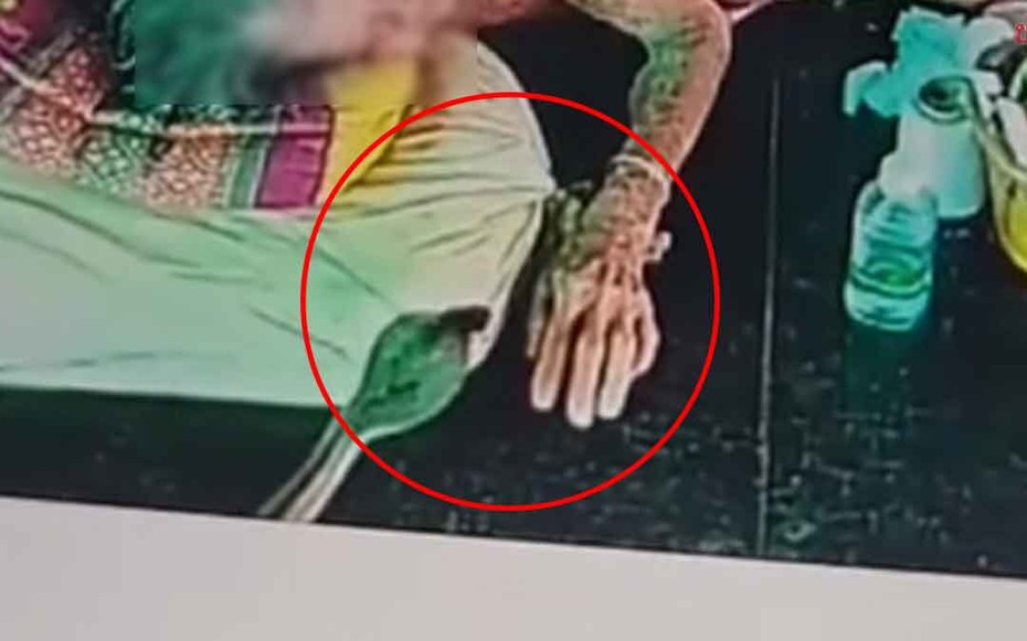 Đang nằm trên giường, cụ bà 93 tuổi bất ngờ bị rắn hổ mang cắn vào tay