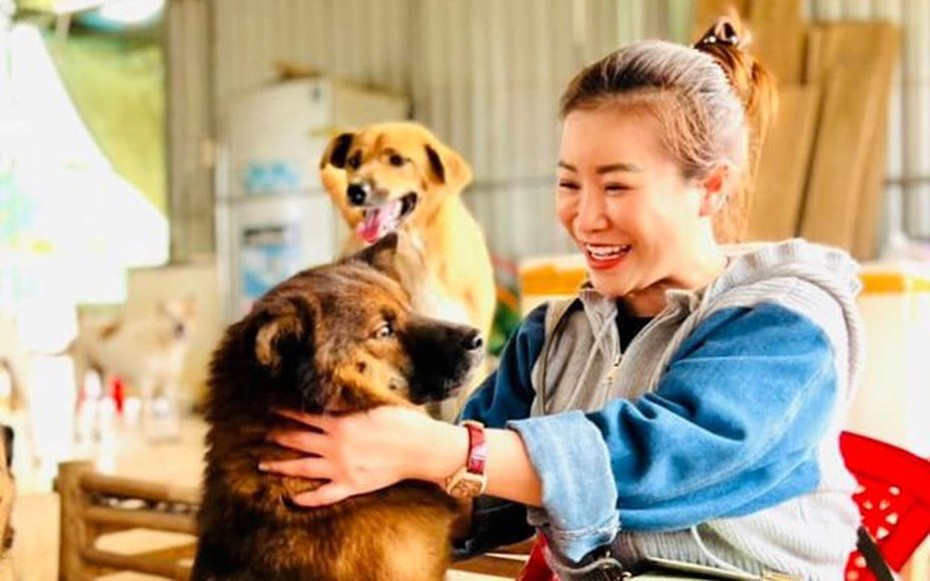 Nữ diễn viên chi 100 triệu mỗi tháng nuôi gần 400 con chó bị bỏ rơi