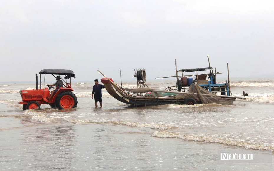 Người dân xứ Nghệ đổ xô săn “lộc trời”, bỏ túi tiền triệu mỗi ngày