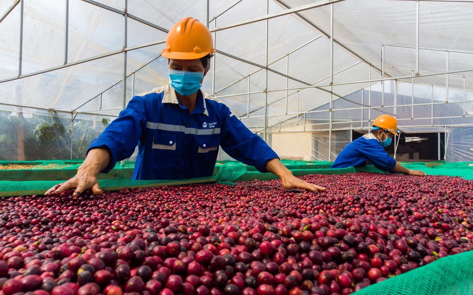 VCCI kiến nghị gỡ "hàng rào" thuế gây khó doanh nghiệp ngành nông nghiệp