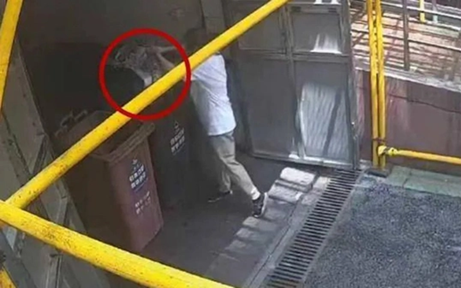 Được ngày dọn nhà giúp mẹ, cô gái xinh đẹp vứt nhầm hộp vàng gần 2 tỷ đồng vào thùng rác