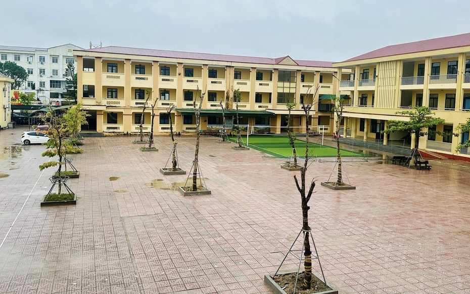 Hiệu trưởng trần tình về việc vận động xã hội hóa để trồng 10 cây giáng hương giá 130 triệu đồng