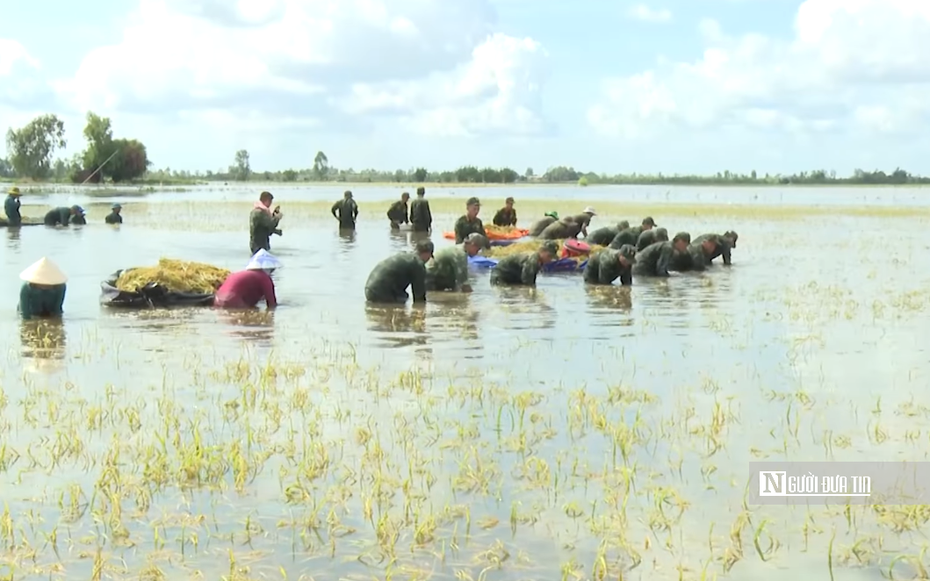 Tây Ninh khi lũ tràn đồng, tình quân dân lại dâng cao hơn con nước