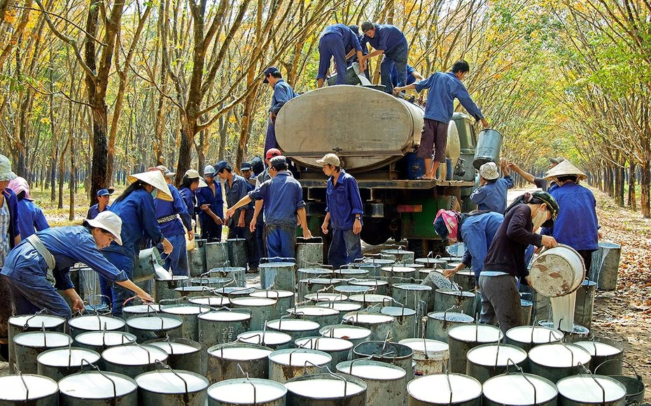 "Vàng trắng" tăng giá, đại gia trong ngành này báo lãi gấp đôi