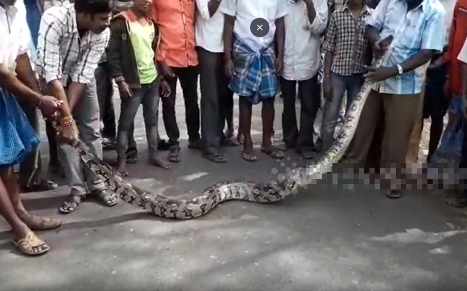 Nghe thấy tiếng động, người dân chạy ra xem thấy cảnh tượng "nổi da gà"