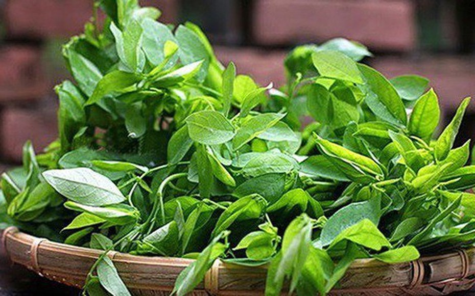 Loại rau có lượng sắt gấp 7 lần thịt bò nhưng giá lại "siêu rẻ"