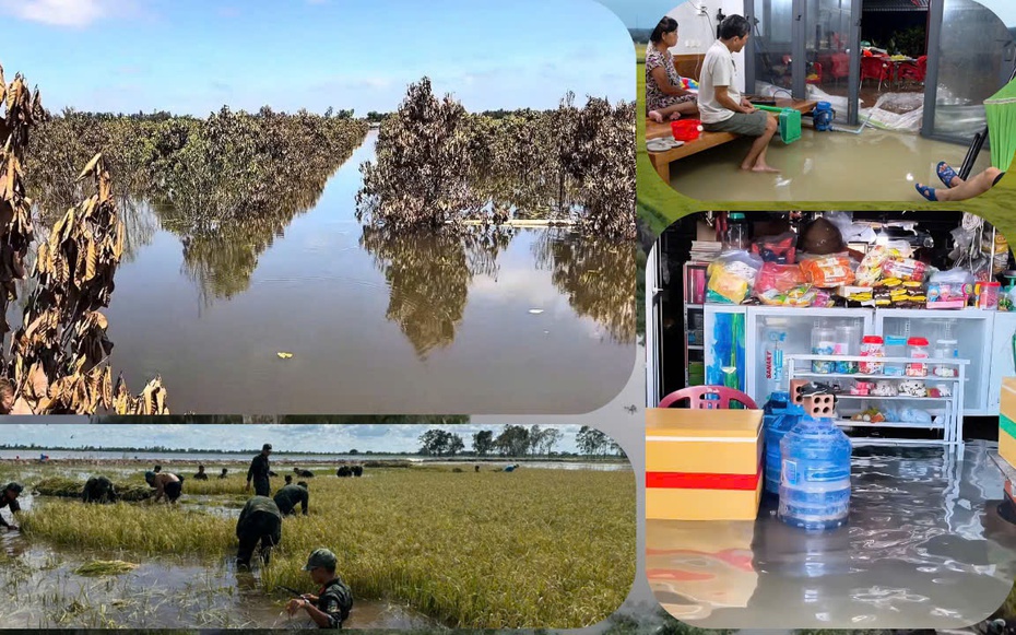 Khi mùa nước nổi không còn là “mùa lộc trời”