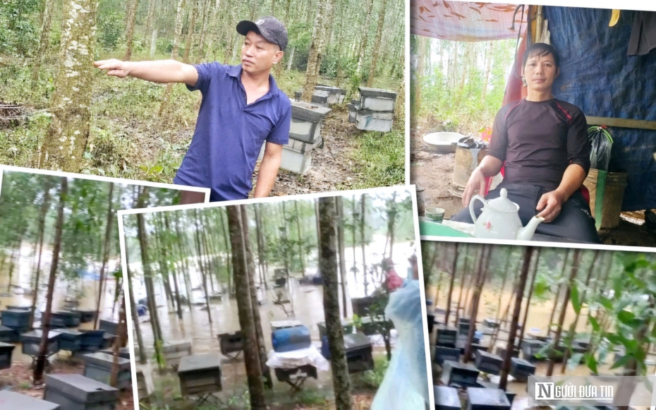 Đời “thiên di” giữa mùa thiên tai