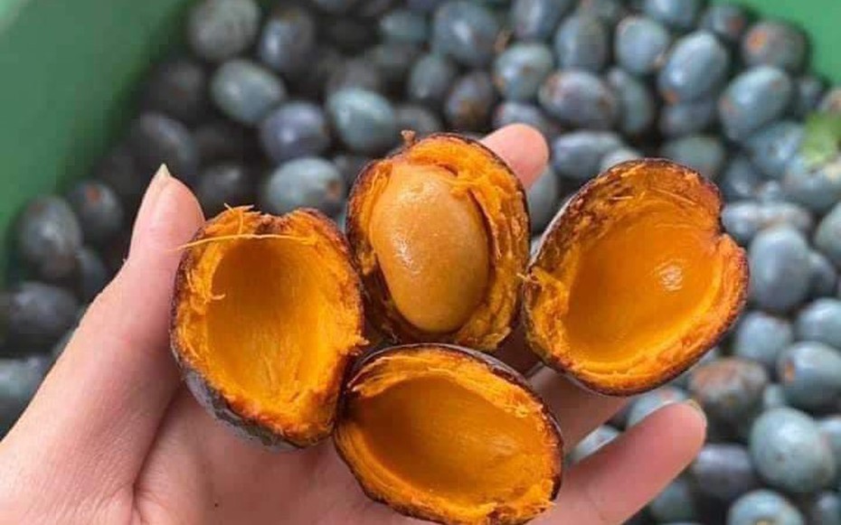 Thứ quả xanh đen là đặc sản chỉ Phú Thọ mới có, rẻ tiền nhưng khó mua