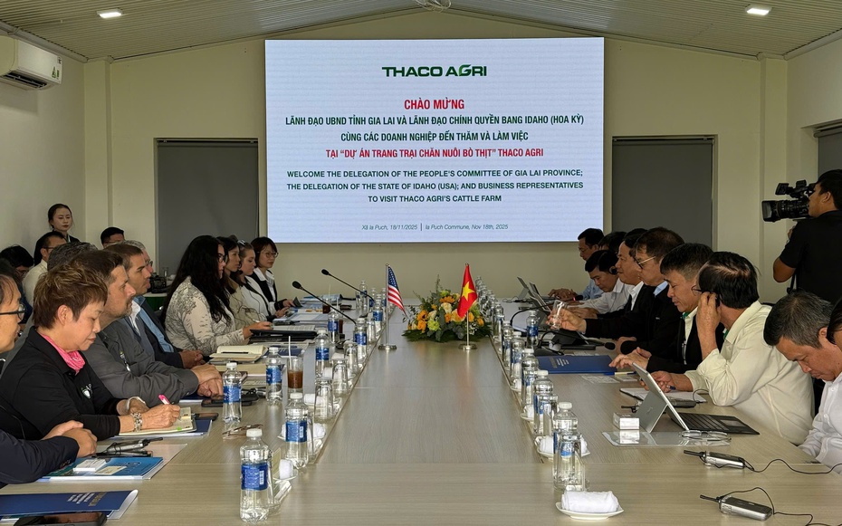 Gia Lai tìm cơ hội hợp tác trong lĩnh vực chăn nuôi với Bang Idaho, Hoa kỳ