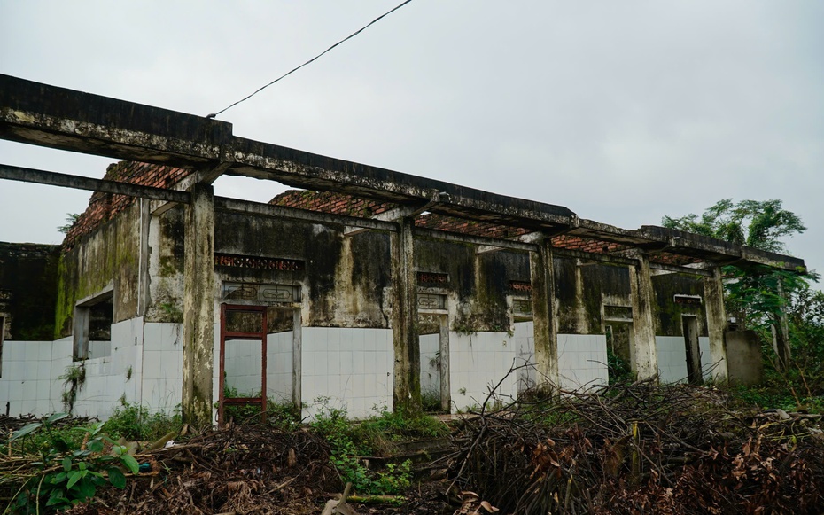 Hà Tĩnh: Cận cảnh phòng khám bỏ hoang nằm giữa khu “đất vàng” trở thành nơi chăn nuôi gia súc