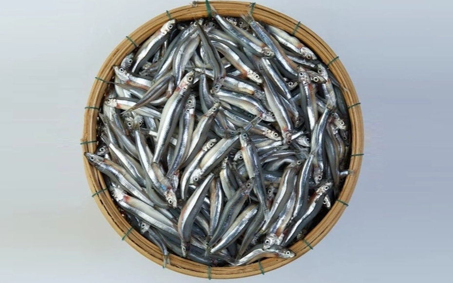 3 loại cá "tốt hơn cả cá hồi", ở chợ Việt vừa nhiều vừa rẻ nhất cái số 1