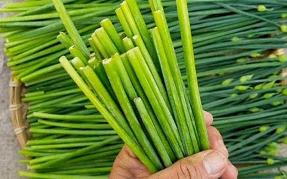 Ăn 1 nắm rau này như "nhân sâm của người nghèo", ở quê có đầy bỏ qua quá phí