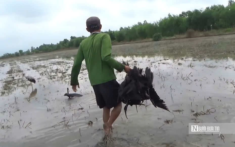 Tây Ninh mở chiến dịch truy quét những "bẫy ngầm" tận diệt động vật hoang dã