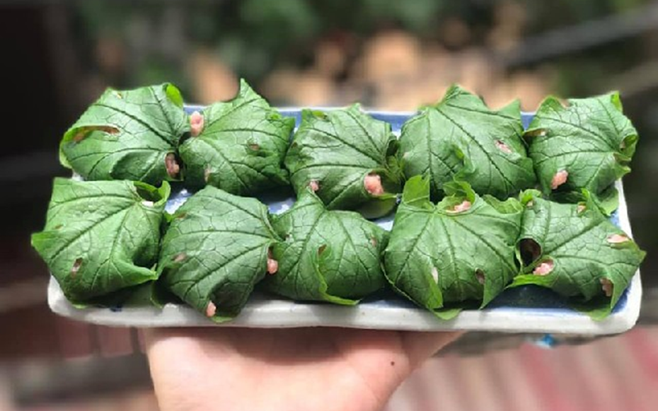 Đừng chỉ ăn quả, lá loại cây này quý như "nhân sâm người nghèo", ở quê mọc đầy bờ rào