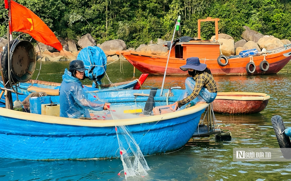 Mưu sinh trên thúng nhỏ: Lời kể của những người "làm ăn trên bọt nước" ở Sơn Trà