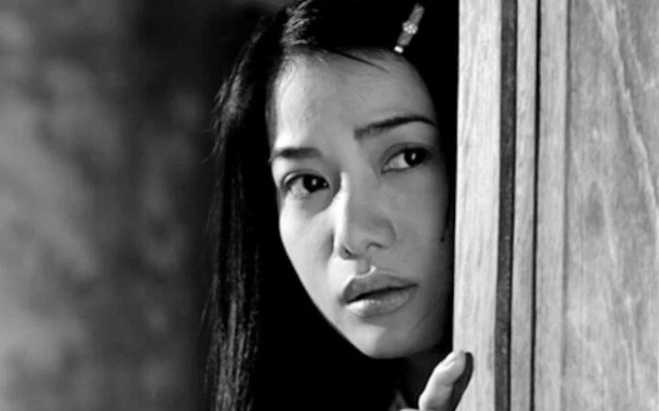 Người đẹp nổi tiếng màn ảnh Việt và những vai diễn để đời trước khi vướng vòng lao lý