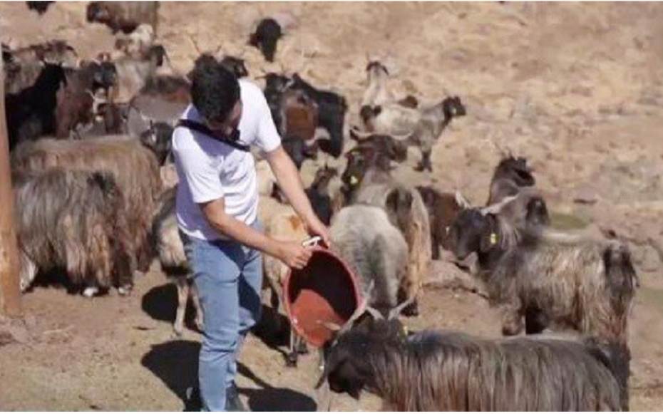 Nghề "hot" đi làm như đi chơi, lương trăm triệu/tháng vẫn thiếu người làm