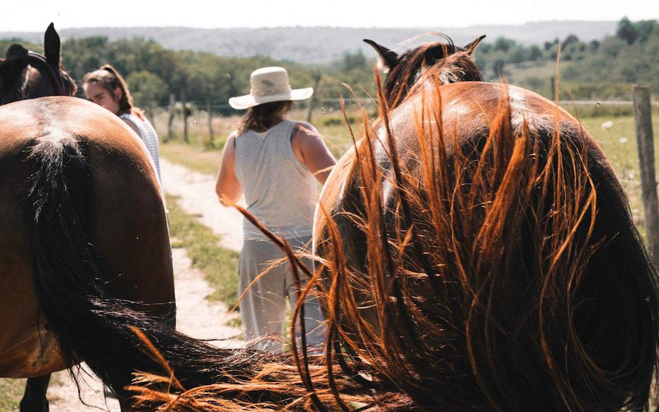 Người phụ nữ sống 10 năm không tiêu một đồng nào nhờ bí quyết có "1-0-2"