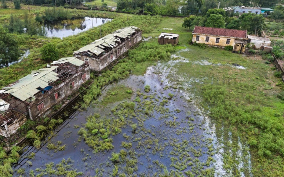 Cảnh hoang tàn trại nuôi thực nghiệm thủy sản vừa bị thu hồi ở Hà Tĩnh