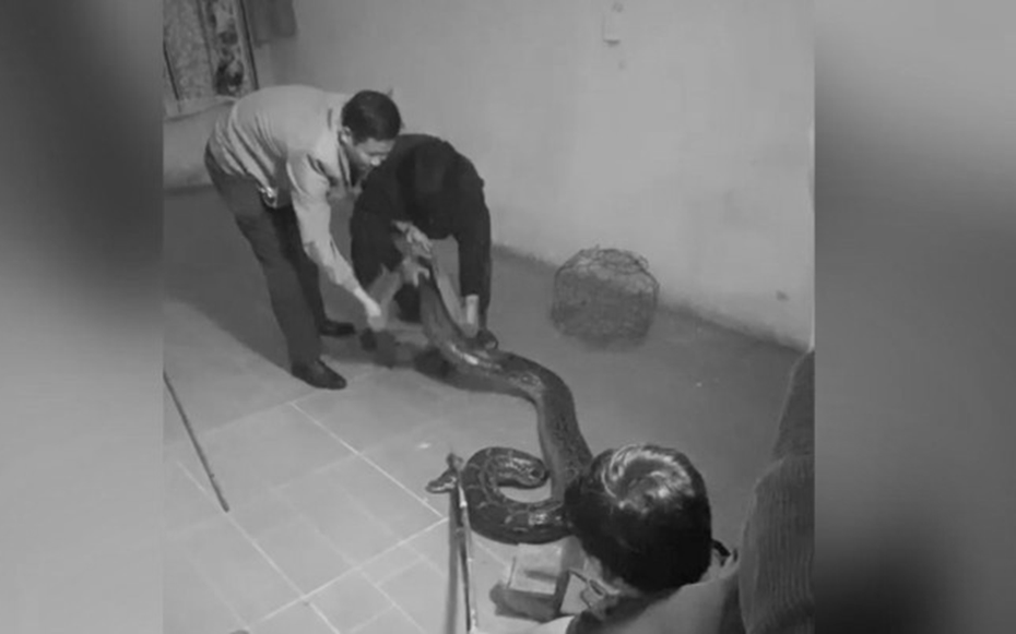 Vừa bước vào phòng, người đàn ông phát hiện cảnh tượng "nổi da gà" giữa nhà