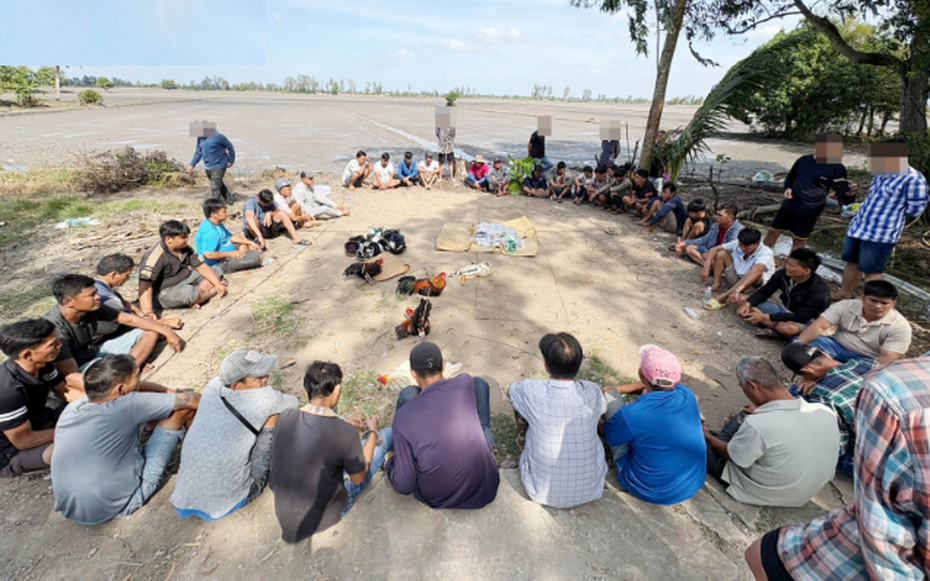 Công an triệt phá trường gà, tạm giữ 23 đối tượng để điều tra