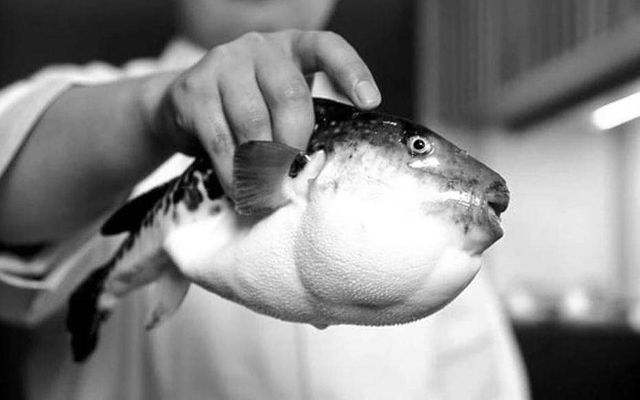 Người đàn ông 32 tuổi nguy kịch vì ăn miếng cá "vạn người mê"