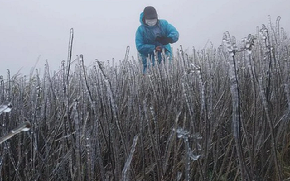Dự báo thời tiết 14/12: Tin mới nhất về đợt không khí lạnh "lạ thường", dự báo thời điểm rét nhất