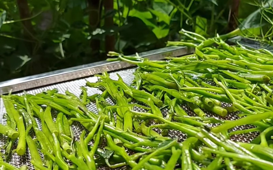 2 loại rau “khoái khẩu” mùa lạnh dễ thành ổ sán, đứng đầu bảng mâm cơm nhà nào cũng có