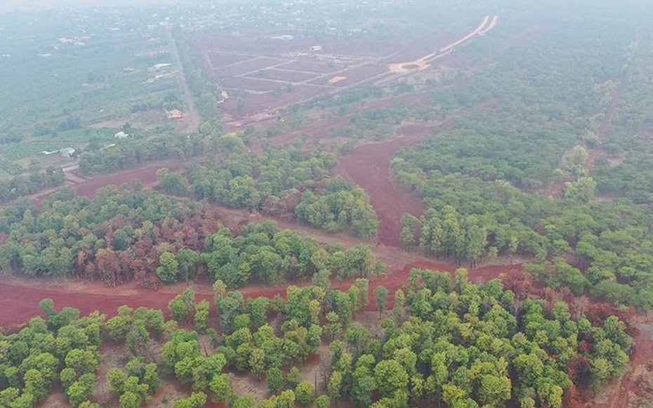 Gia Lai tìm nhà đầu tư cho dự án Sân Golf Đak Đoa hơn 1.150 tỷ đồng