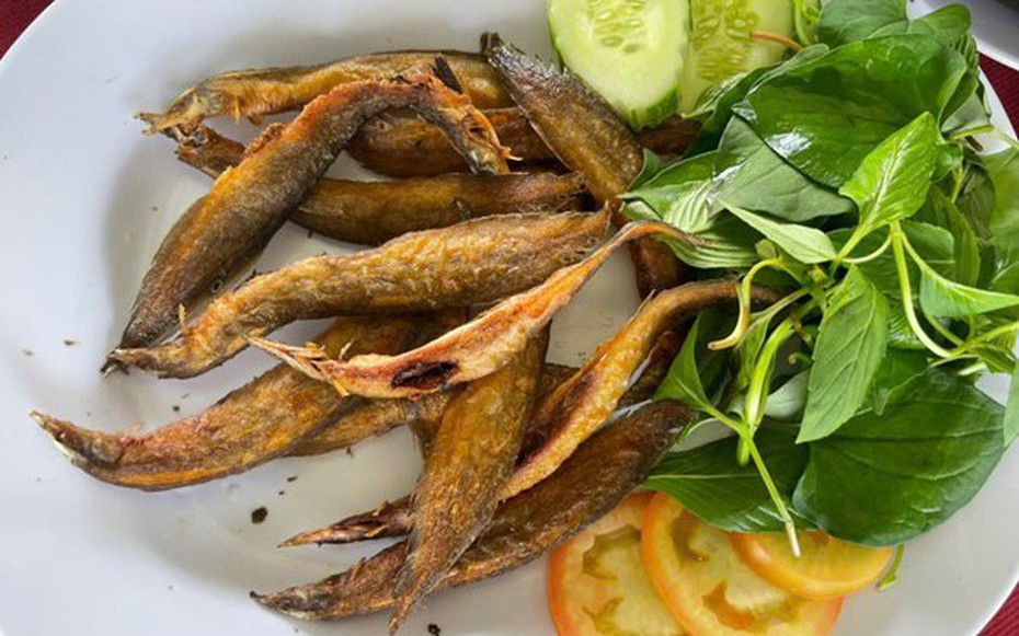 Loại cá được ví như "nhân sâm dưới nước", xuất hiện trong nhiều bài thuốc Đông y