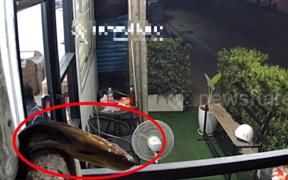 Nghe hàng xóm gọi rất to, người phụ nữ nhìn ra cửa sổ thấy cảnh tượng "nổi da gà"