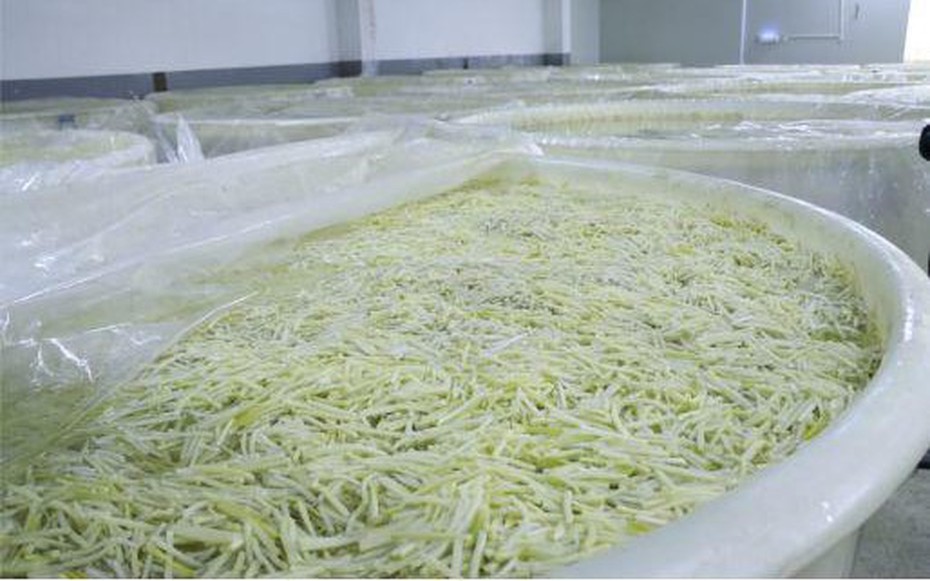 Nghề "độc lạ" ít ai hay: Kiếm 1,8 tỷ đồng/năm nhờ nghề ngửi đồ ăn