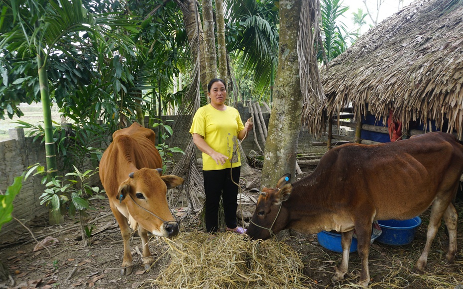 Trao "cần câu", gieo mầm hy vọng thoát nghèo cho người dân vùng cao