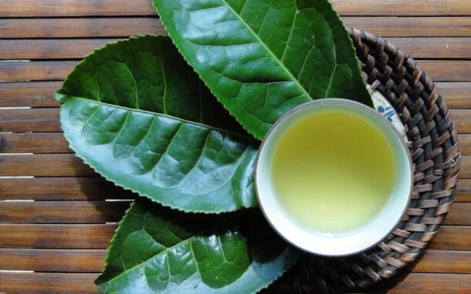 Loại nước được ví như "thần dược" cho sức khỏe và sắc đẹp, ở quê mọc um tùm trên đồi