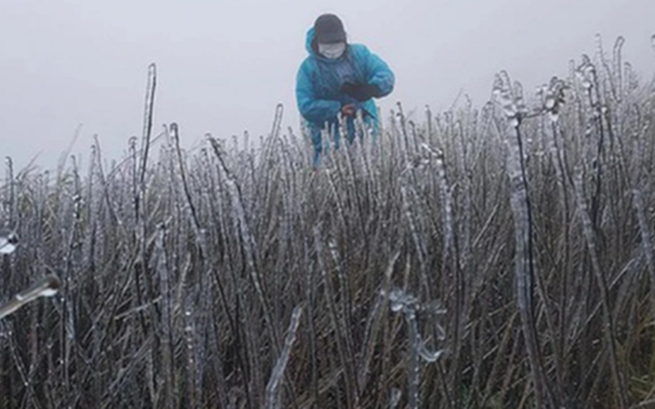 Đón không khí lạnh "lạ thường" dồn dập, có nơi dưới 6 độ C, dự báo ngày rét đậm nhất 2025
