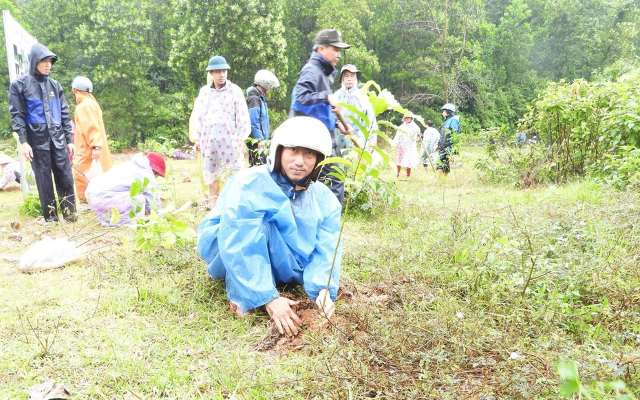 Một tỷ cây xanh và bước chuyển mới của nông thôn Việt Nam
