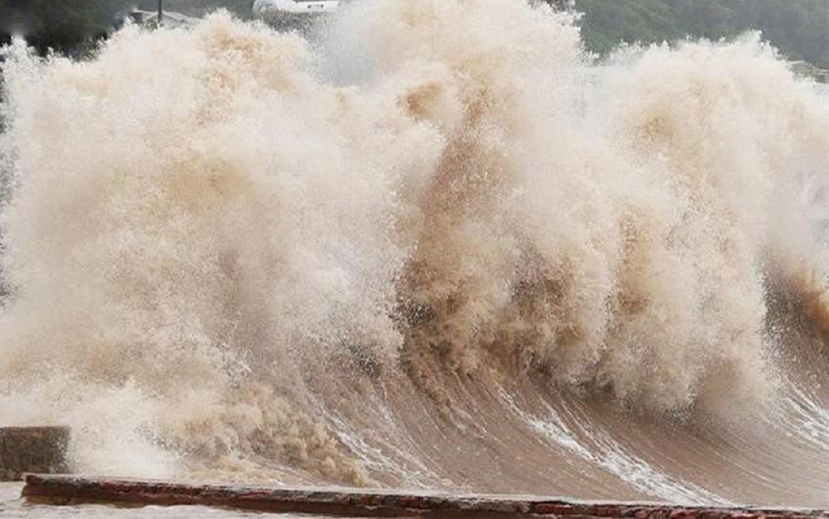 Xuất hiện áp thấp mới mạnh lên từng giờ, dự báo đường đi 24 giờ tới