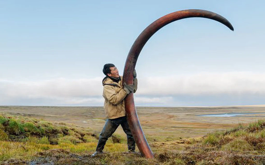 Nghề lạ: Kiếm tiền tỷ trong 2 tháng nhưng ít ai dám làm