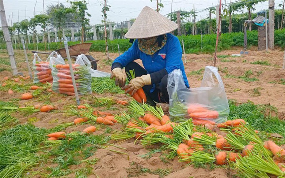 Giải bài toán tìm đầu ra cho các mặt hàng nông sản ở Nghệ An