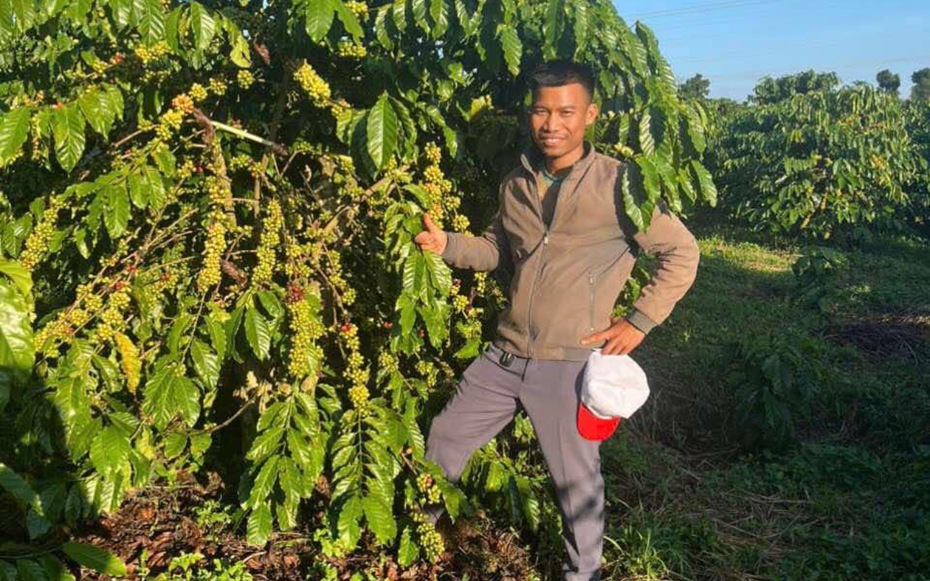 Bước đi táo bạo của thầy giáo làng mang khát vọng nâng tầm cà phê Tây Nguyên